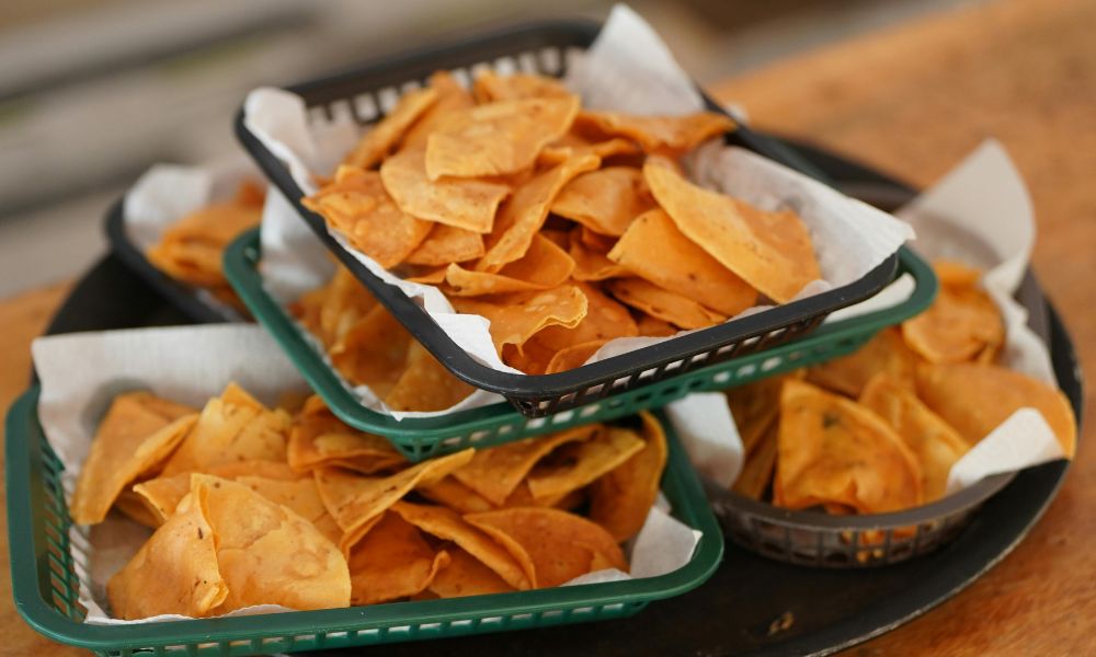 high protein chips